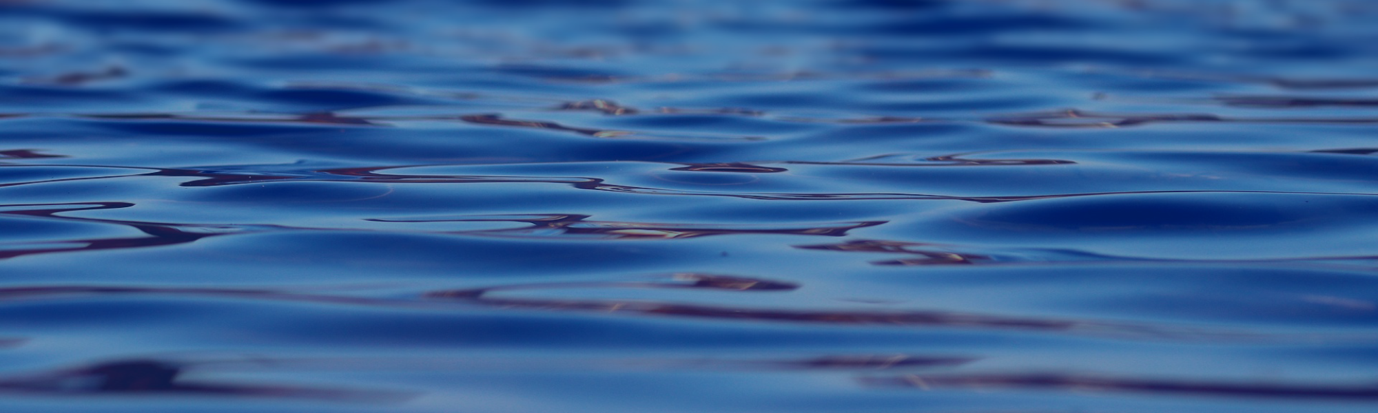 rewa-tag-des-wassers